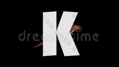 字母K和袋鼠（背景）