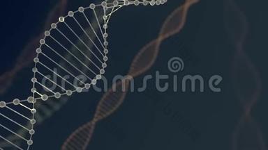 具有景深的抽象蓝色闪闪发光的<strong>DNA双螺旋</strong>.. debrises三维渲染的<strong>DNA</strong>构建动画