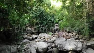热带雨林和带岩石河的神奇风景。 野生植被，深厚的热带森林.. 丛林，树木覆盖岩石