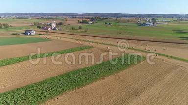 在一个晴朗的秋日收获玉米田和卷玉米柱和阿米什农场牛排