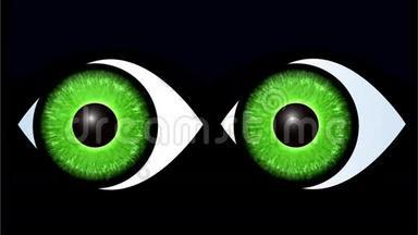 黑猫捕食者的绿色眼睛。 移动的猫的眼睛在黑暗中发光。 视频插图。