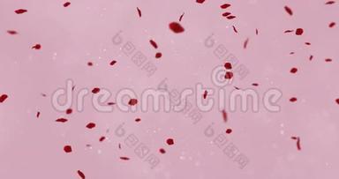 红艳艳的花瓣在粉红色的背景下飞舞，颗粒流动，爱和情人节节日的<strong>喜庆活动</strong>