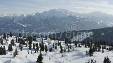 冬季全景树木雪景空中4k