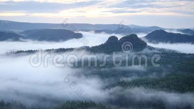 春天雾蒙蒙的早晨，森林景观。 雄伟的山峰划破了灯光的薄雾。 深谷充满了五颜六色的雾和山丘