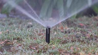 洒水系统浇水草坪.