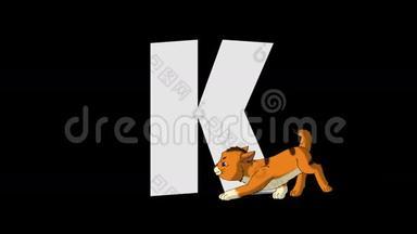 字母K和Kitten（前景）