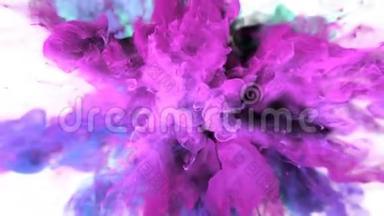 彩色爆炸-彩色紫粉色烟雾爆炸流体粒子阿尔法哑光