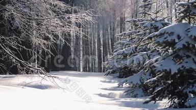 冬天在森林里<strong>下雪</strong>，柔和的圣诞节早晨<strong>下雪</strong>
