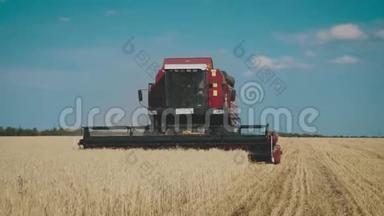 联合收割机收割小麦. 小麦收获剪.. 领域的组合.食品行业理念..