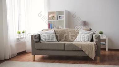 沙发配有舒适的家庭客厅坐垫