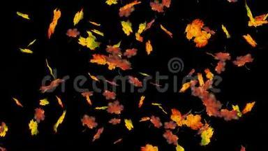飞舞的七彩枫叶.. 秋天，秋天的背景。 慢动作，特写高清写实三维动画..