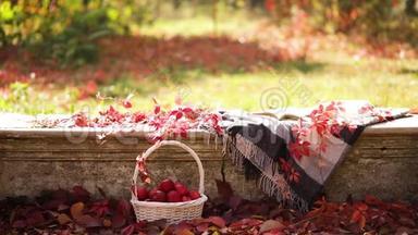 秋天的花园。 在石凳上，有一条毯子，一个<strong>枕头</strong>，一篮子苹果和一顶带有<strong>橡胶</strong>靴的勃艮第帽