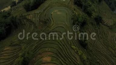 越南北部萨帕的空中无人机稻米梯田的镜头-2019年10月