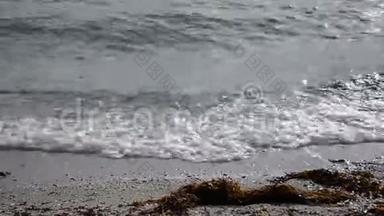 深秋，海浪拍打着沙质海岸