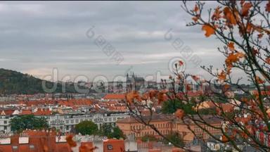 在捷克<strong>布拉格</strong>，<strong>旧</strong>城镇建筑与红色屋顶的鸟瞰。 <strong>布拉格</strong>圣维特大教堂。