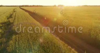 鸟瞰年轻男孩，骑着自行车穿过古老的乡村道路上的麦田。 阳光和光束。