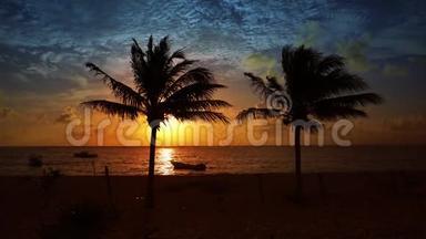 玛雅里维埃拉棕榈树海滩日出加勒比海
