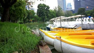 泰国曼谷绿色公园的水监测器。 高清高清