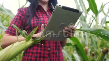 智慧生态农业养殖理念.. 植物研究人员在检查生活方式时使用触摸平板电脑