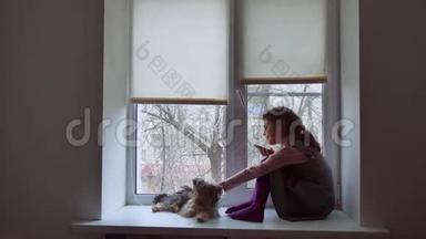 少女上网玩宠物智能手机游戏，狗坐在窗台上
