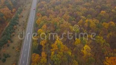 秋季森林环绕的道路上的汽车鸟瞰图