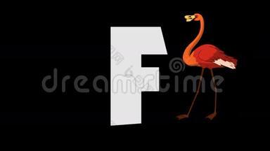 字母F和火烈鸟（背景）