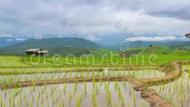泰国时间流逝的梯田、稻田和空中飘浮的云