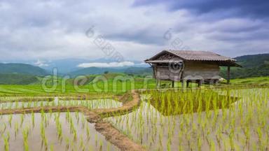 泰国时间流逝的梯田、稻田和空中飘浮的云