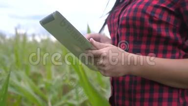 智慧<strong>生态农业</strong>养殖理念.. 农民女孩植物研究人员在检查玉米时使用并触摸平板电脑