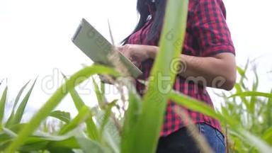 智慧生态农业养殖理念.. 农民女孩植物研究员使用和生活方式触摸平板电脑，同时检查