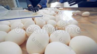 家禽养殖场分类桌上的白鸡蛋，特写。