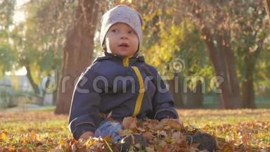 小男孩坐在草地上，落叶在公园里，在明亮和阳光明媚的初秋黄叶