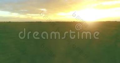 在阳光明媚的夏季傍晚，飞行在乡村夏日景观之上，有着无尽的黄色田野。 秋季农业农田