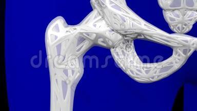 健康<strong>骨骼</strong>和骨质疏松<strong>骨骼</strong>.. 3D绘制。