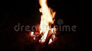 森林里的篝火之夜，还有炽热的煤