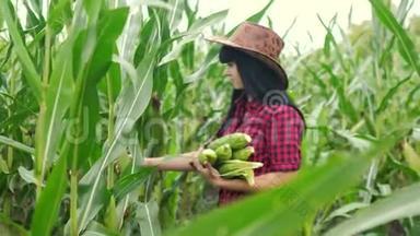 智慧生态是一种收获农业的耕作理念。 农民女孩植物研究员在农场收获玉米芯