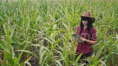 智慧<strong>生态农业</strong>养殖理念.. 农民女孩植物研究员一个用途，触摸平板电脑的生活方式，同时检查