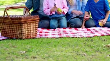 一家人吃野餐