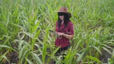 智慧生态农业养殖理念.. 农民女孩植物研究员在检查玉米时使用和触摸平板电脑