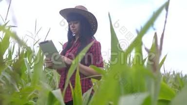 智慧生态农业养殖理念.. 农民女孩植物研究员在检查时使用触摸平板电脑