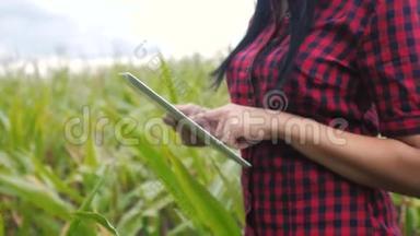 智慧生活方式+生态农业+农耕理念.. 农民女孩植物研究员在检查时使用和触摸平板电脑