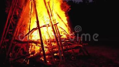 森林中的大篝火在夜晚燃烧