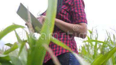 智慧<strong>生态农业</strong>养殖理念.. 农民女孩植物研究员使用和触摸平板电脑的生活方式，同时检查。
