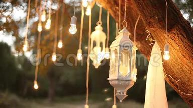 装饰古董爱迪生风格的灯丝灯泡挂在树林里，玻璃灯