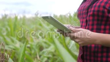 智慧生态农业养殖理念.. 农民女孩植物研究人员在检查玉米时使用并触摸平板电脑
