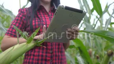 智慧生态农业养殖理念.. 一位植物研究者在检查生活方式的同时使用触摸平板电脑