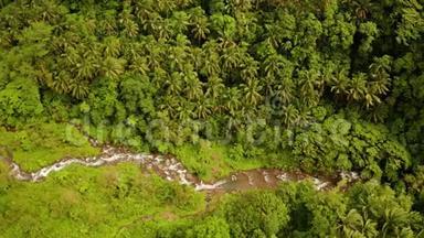 河流在山区丛林中流淌，菲律宾，卡米吉因。