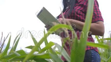 智慧<strong>生态农业</strong>养殖理念.. 农民女孩植物研究员生活方式使用和触摸平板电脑，同时检查