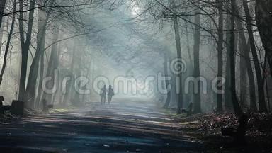 波兰森林中<strong>浓</strong>雾</strong>中的道路和阳光。