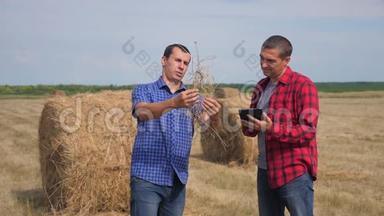 团队农业智慧农业理念.. 两个男人生活方式农民工人在数字领域研究干草堆